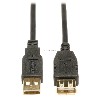 Tripp Lite USB 2.0 Extension Cable, 6FT USB AA EXTENSION CABLE GOLD FOR USB 2.0 CABLES